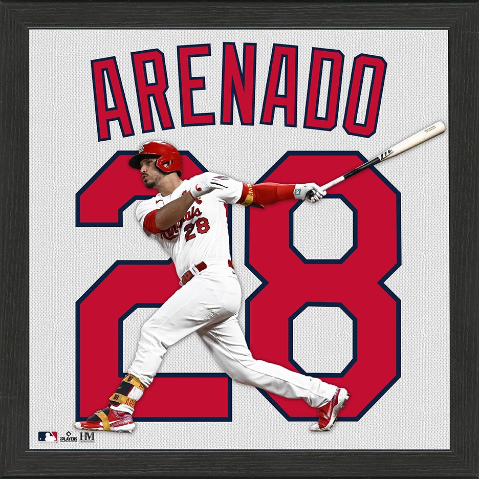 Nolan shop arenado jersey