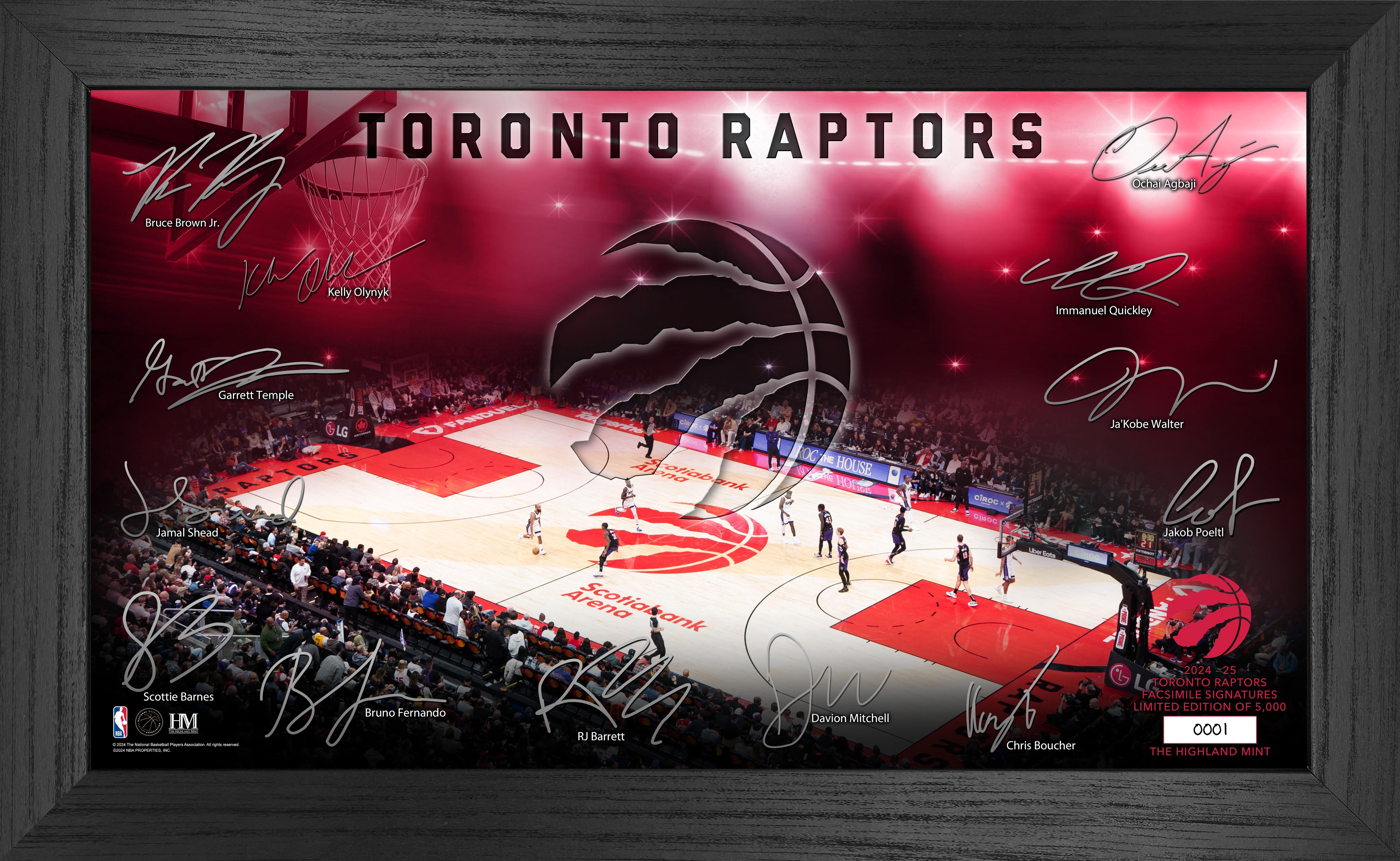 Toronto Raptors 2024-25 Signature Court