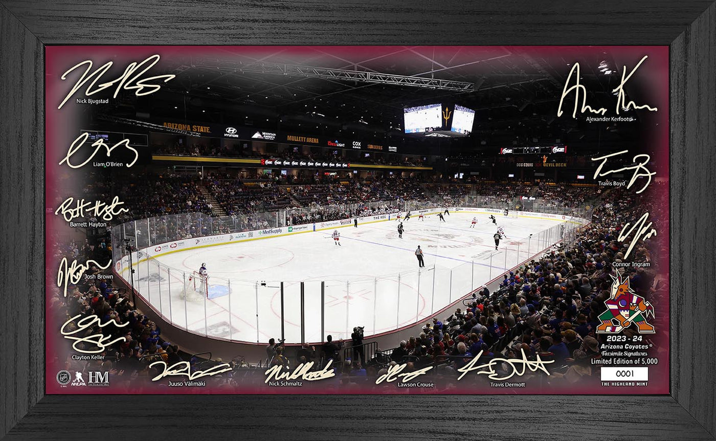 Arizona Coyotes 2023-24 Signature Rink