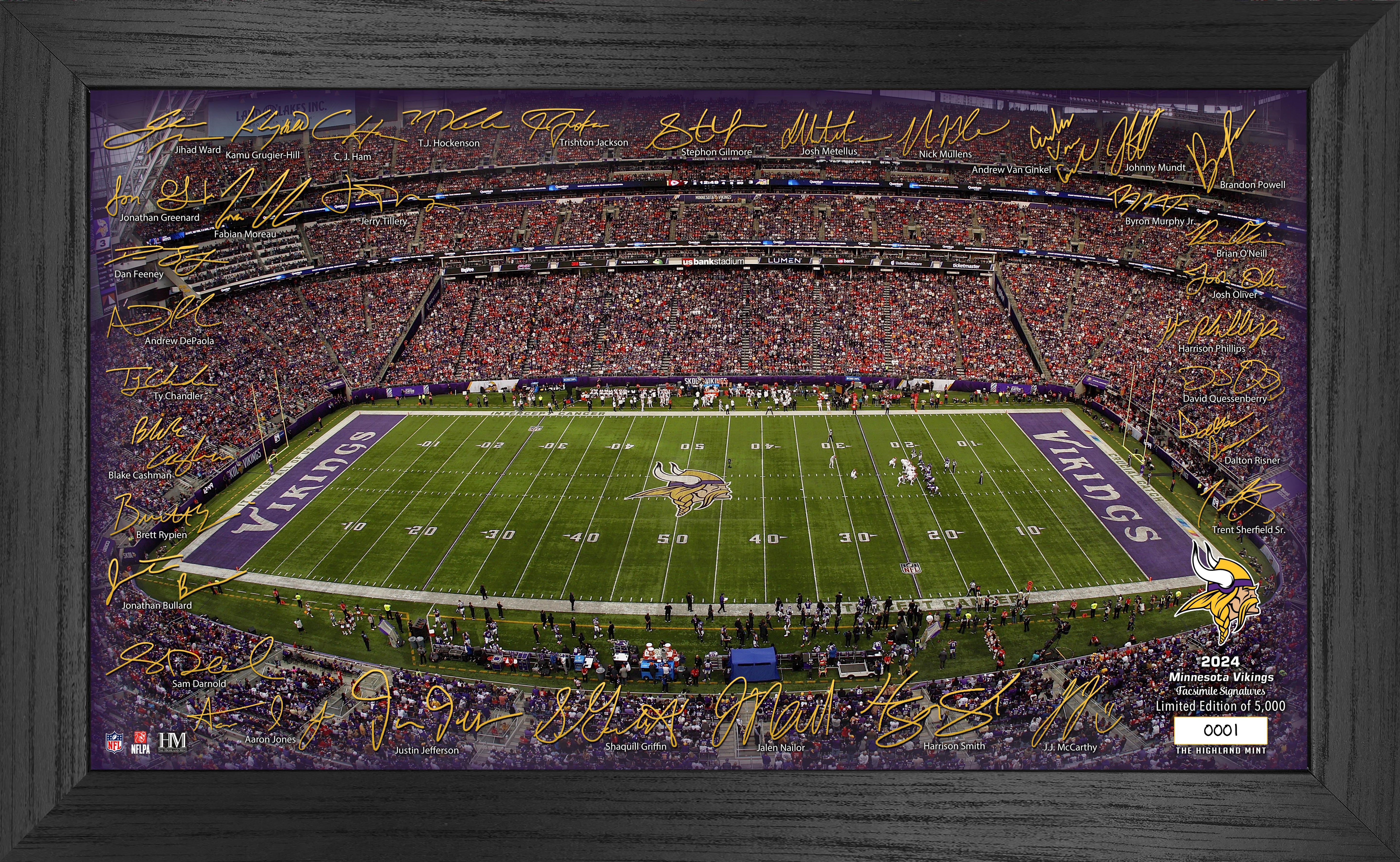 Minnesota Vikings 2024 NFL Signature Gridiron