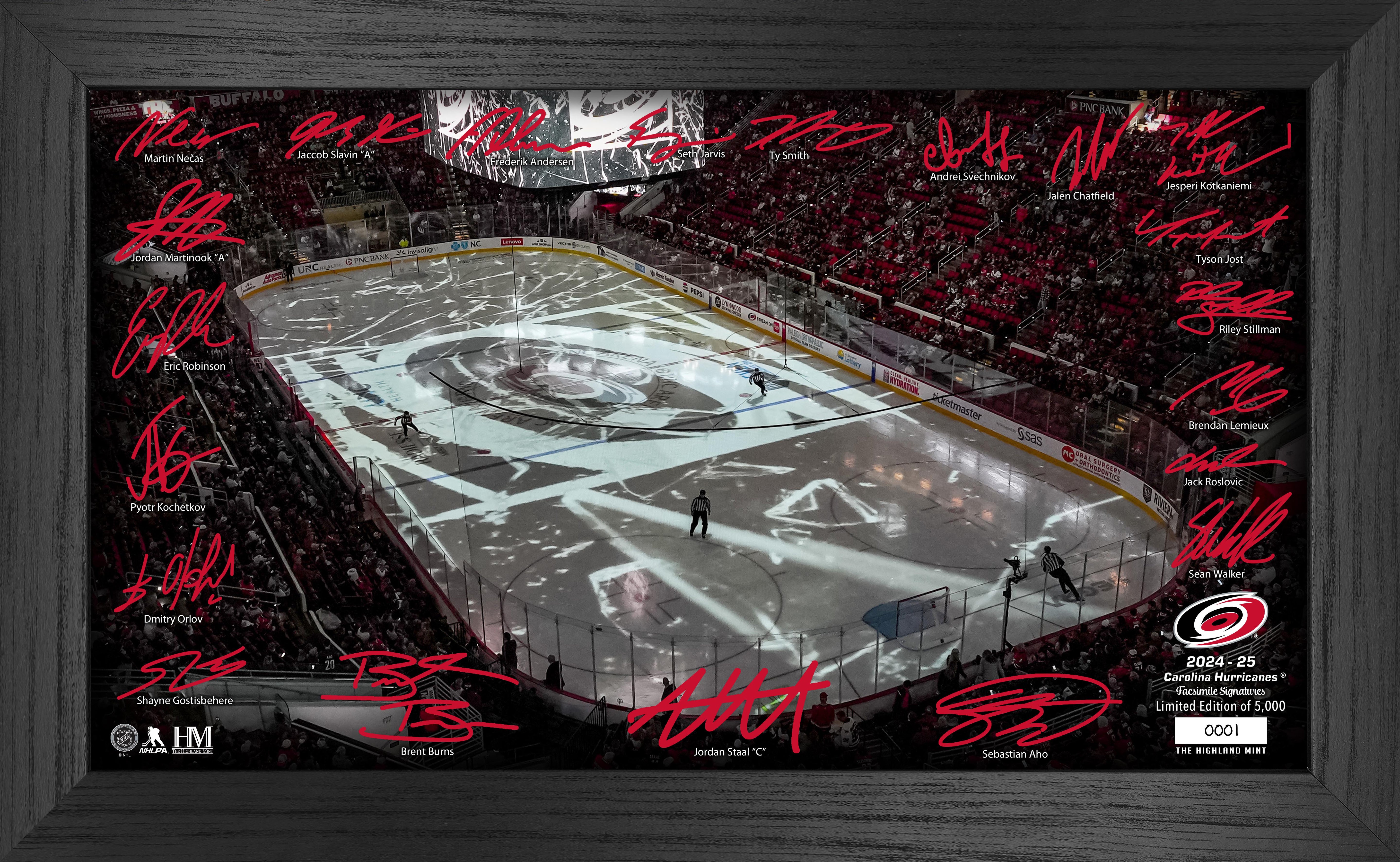 Carolina Hurricanes 2024-25 Signature Rink