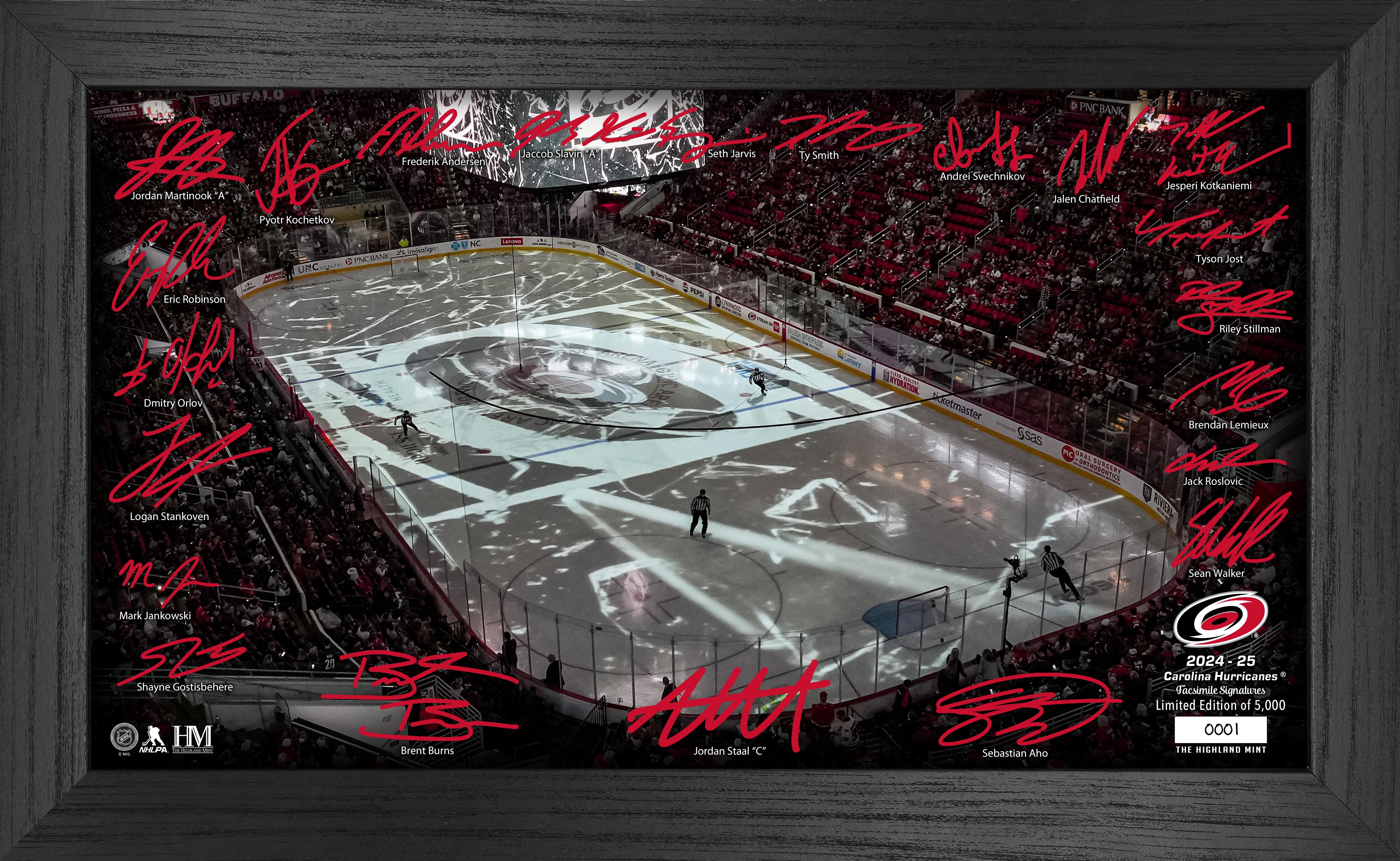 Carolina Hurricanes 2024-25 Signature Rink