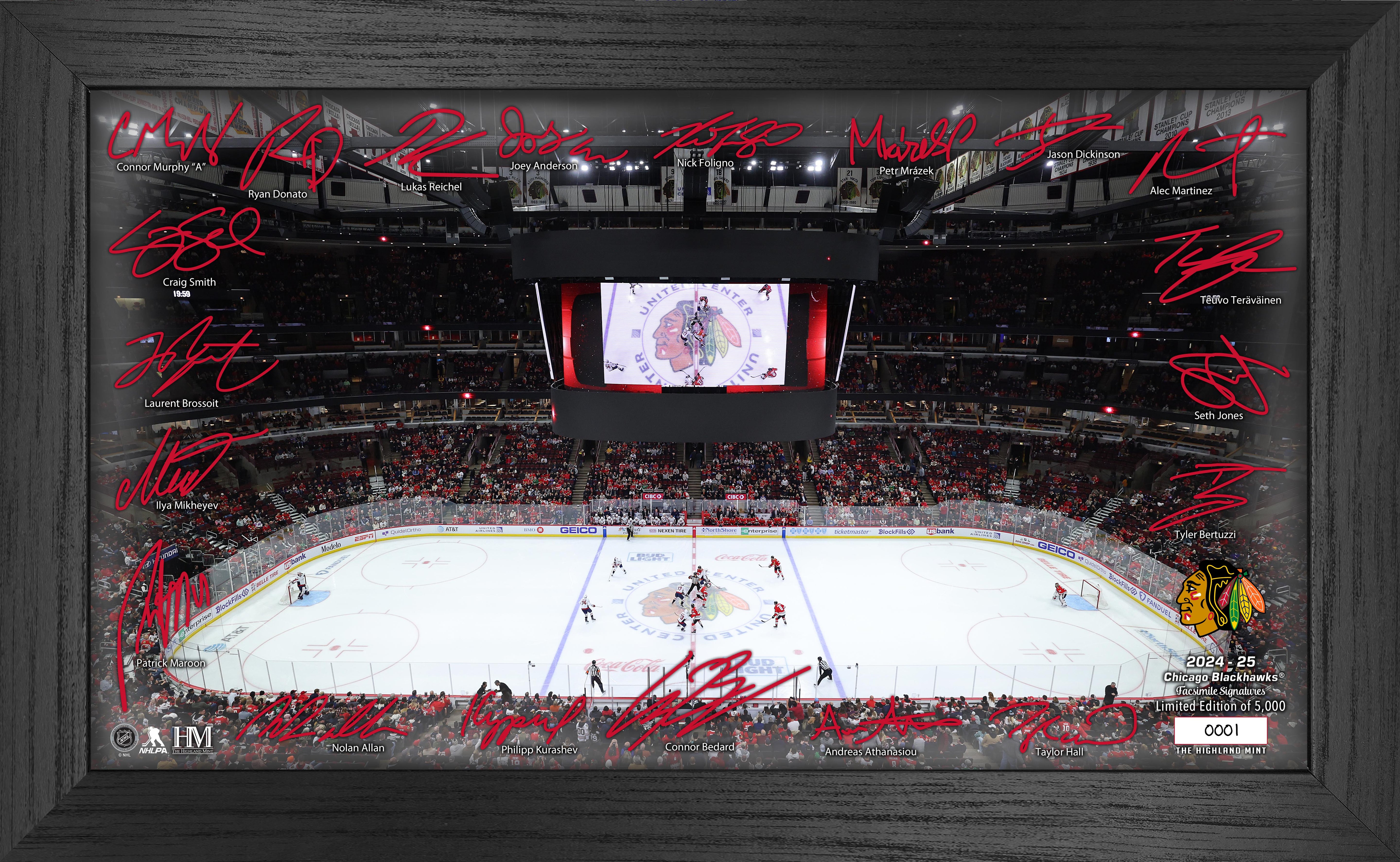 Chicago Blackhawks 2024-25 Signature Rink