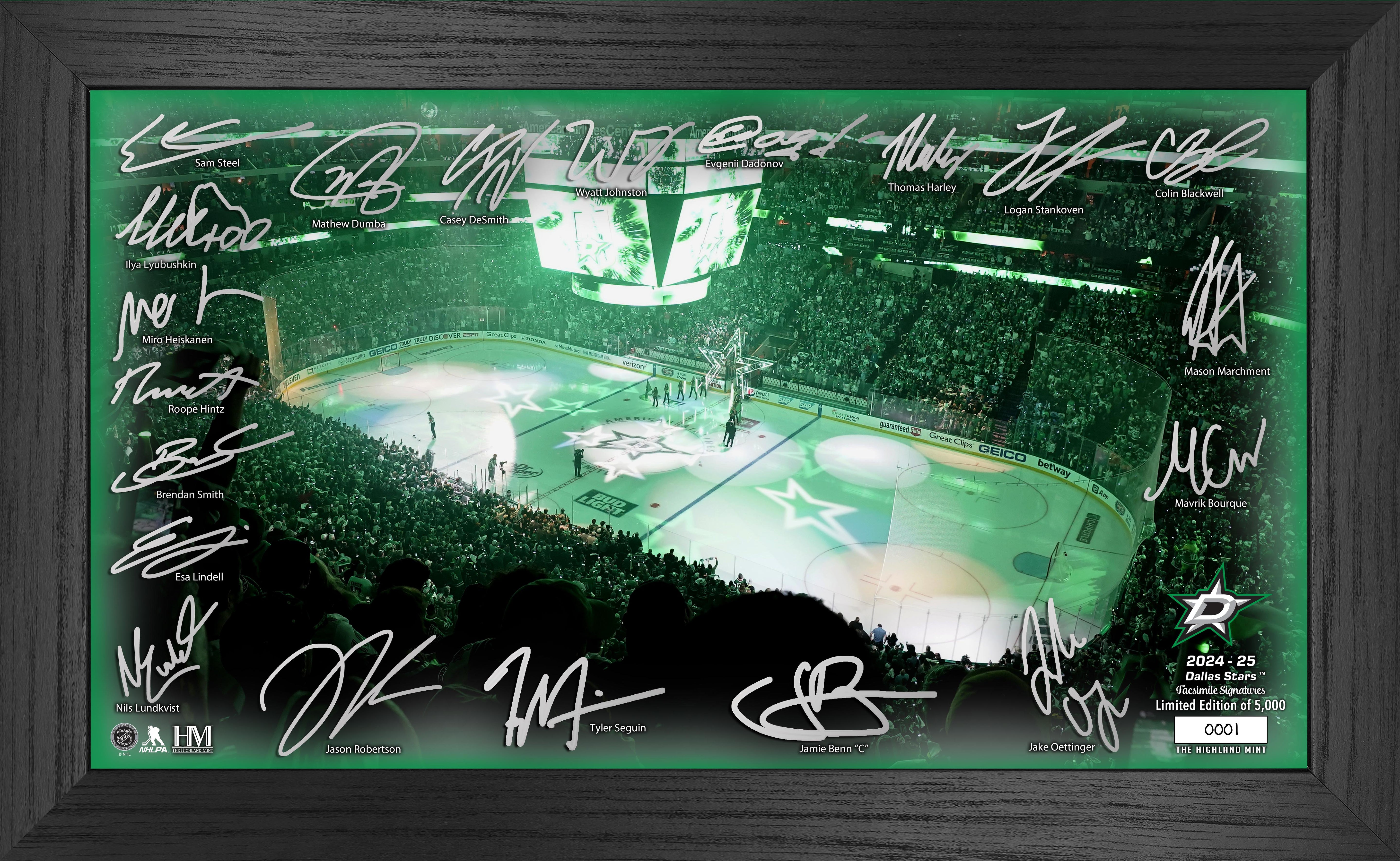 Dallas Stars 2024-25 Signature Rink