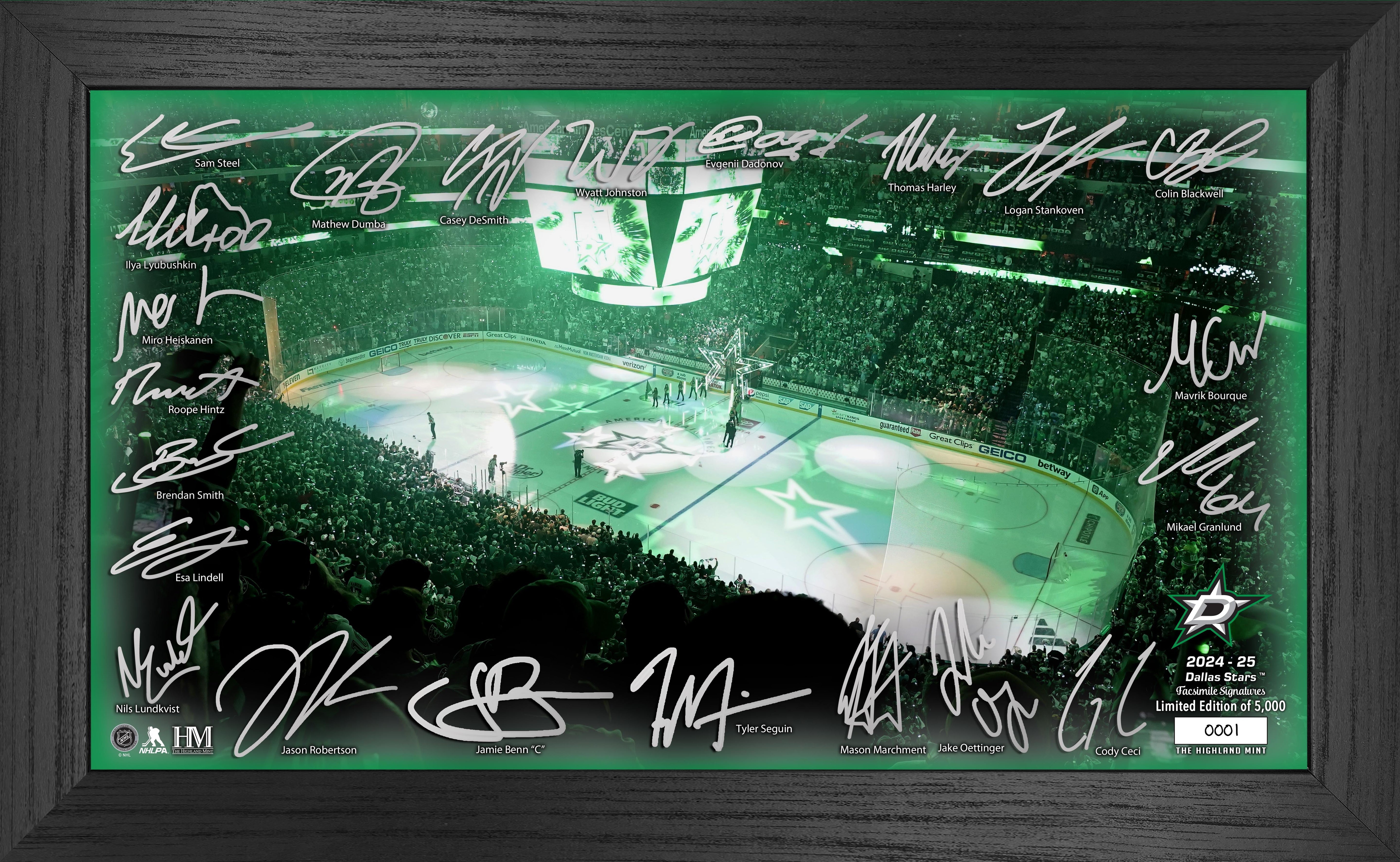 Dallas Stars 2024-25 Signature Rink