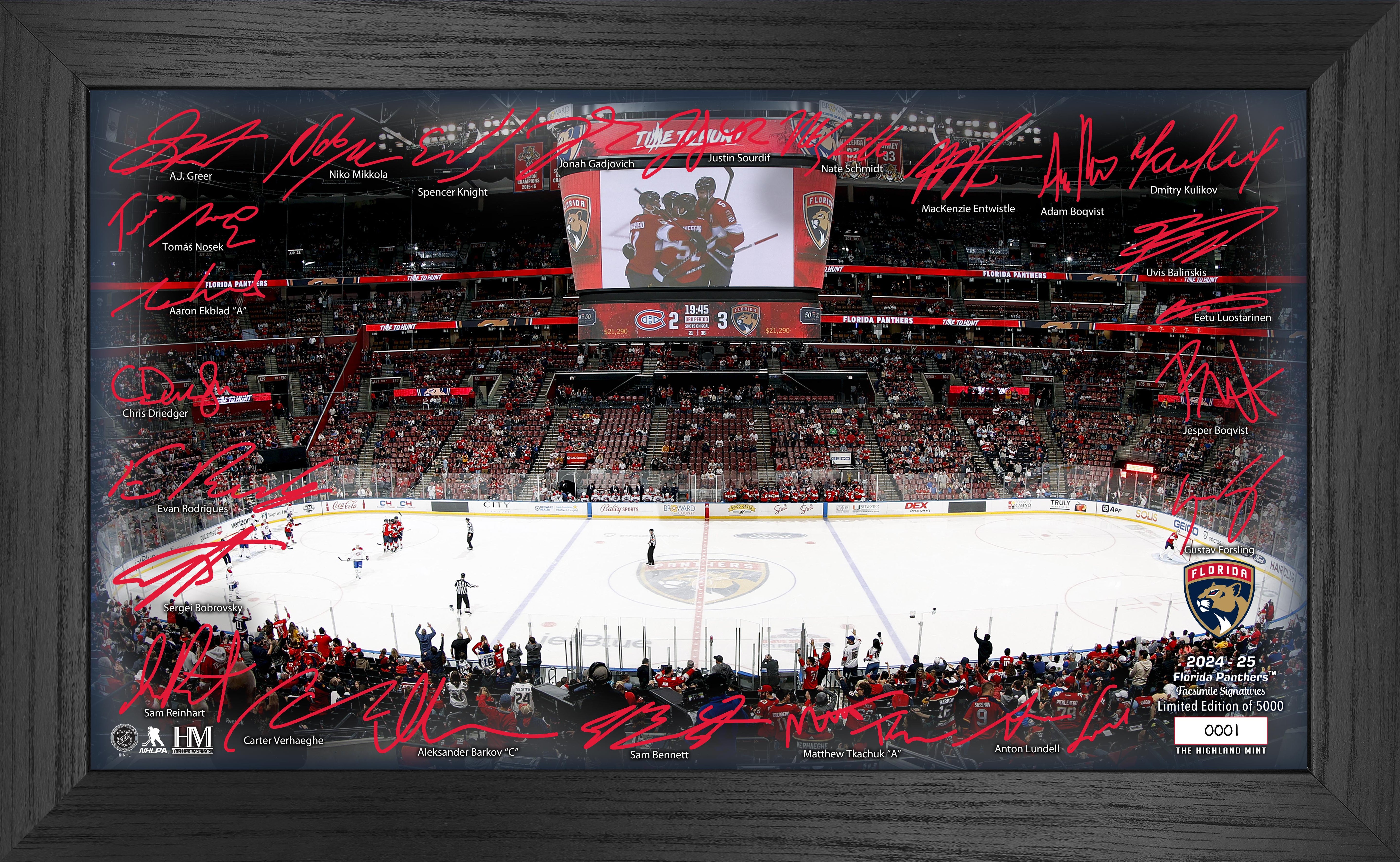 Florida Panthers 2024-25 Signature Rink