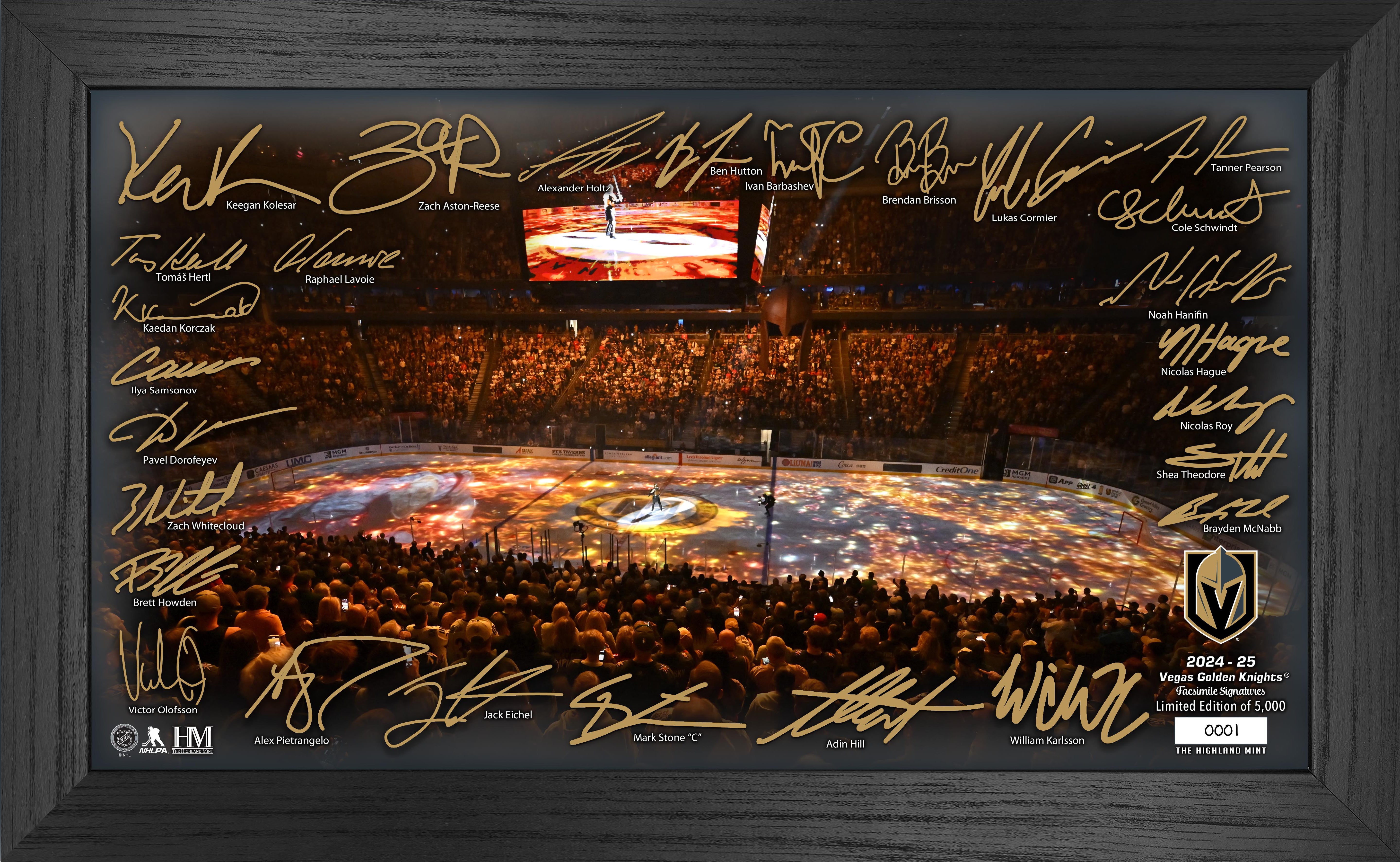 Vegas Golden Knights 2024-25 Signature Rink