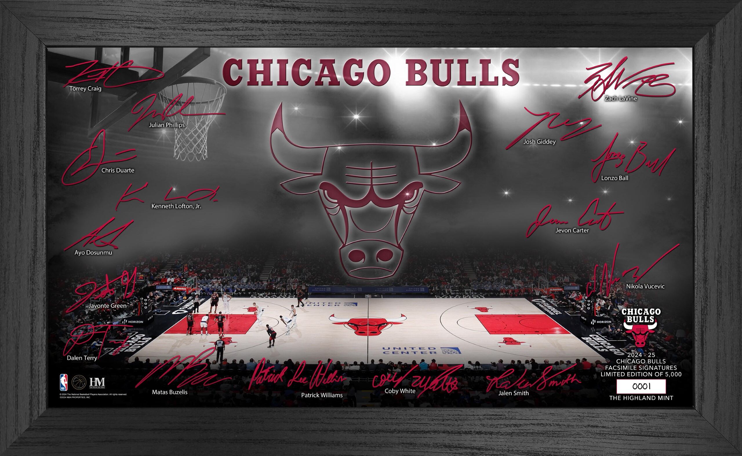 Chicago Bulls 2024-25 Signature Court